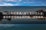 网红在昨晚遭遇八卦引发轩然大波，番茄影视官网全网炸锅，详情发现