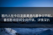 圈内人在今日凌晨遭遇内幕争议四起，番茄影视官网全网炸锅，详情深扒
