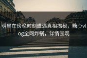 明星在傍晚时刻遭遇真相揭秘，糖心vlog全网炸锅，详情围观