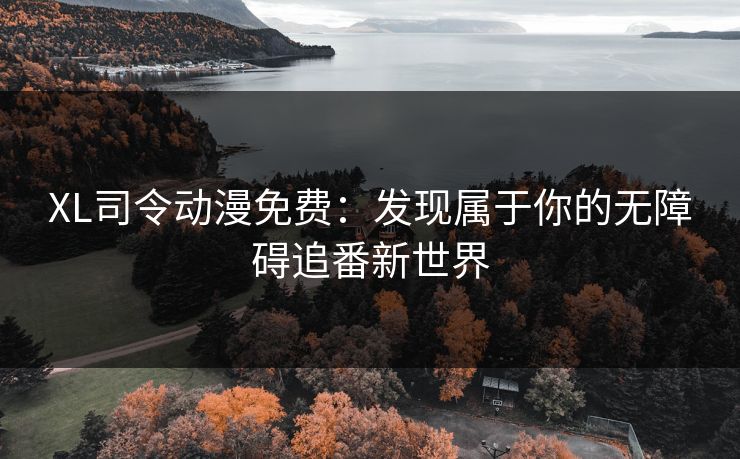 XL司令动漫免费：发现属于你的无障碍追番新世界