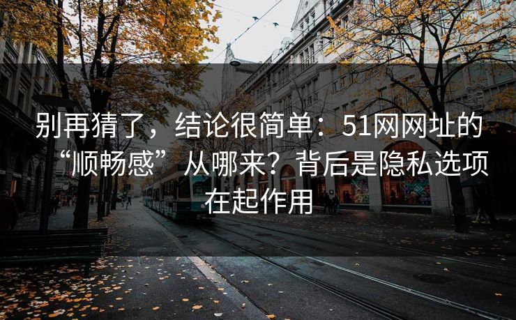 别再猜了,结论很简单:51网网址的“顺畅感”从哪来?背后是隐私选项在起作用 别再猜了,结论很简单:51网网址的“顺畅感”从哪来?背后是隐私选项在起作用